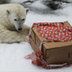 Image for article titled 10 Things I Hate About Christmas